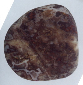 01-8.jpg