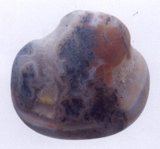 01-8.jpg