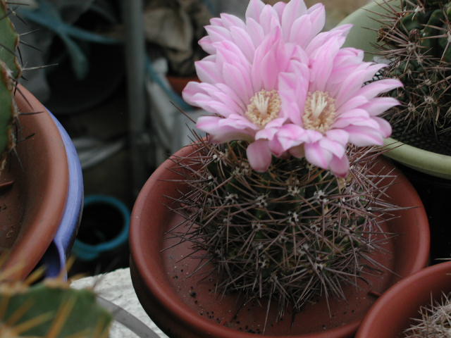 02-0001.jpg