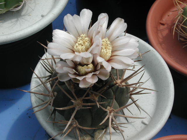 02-001.jpg