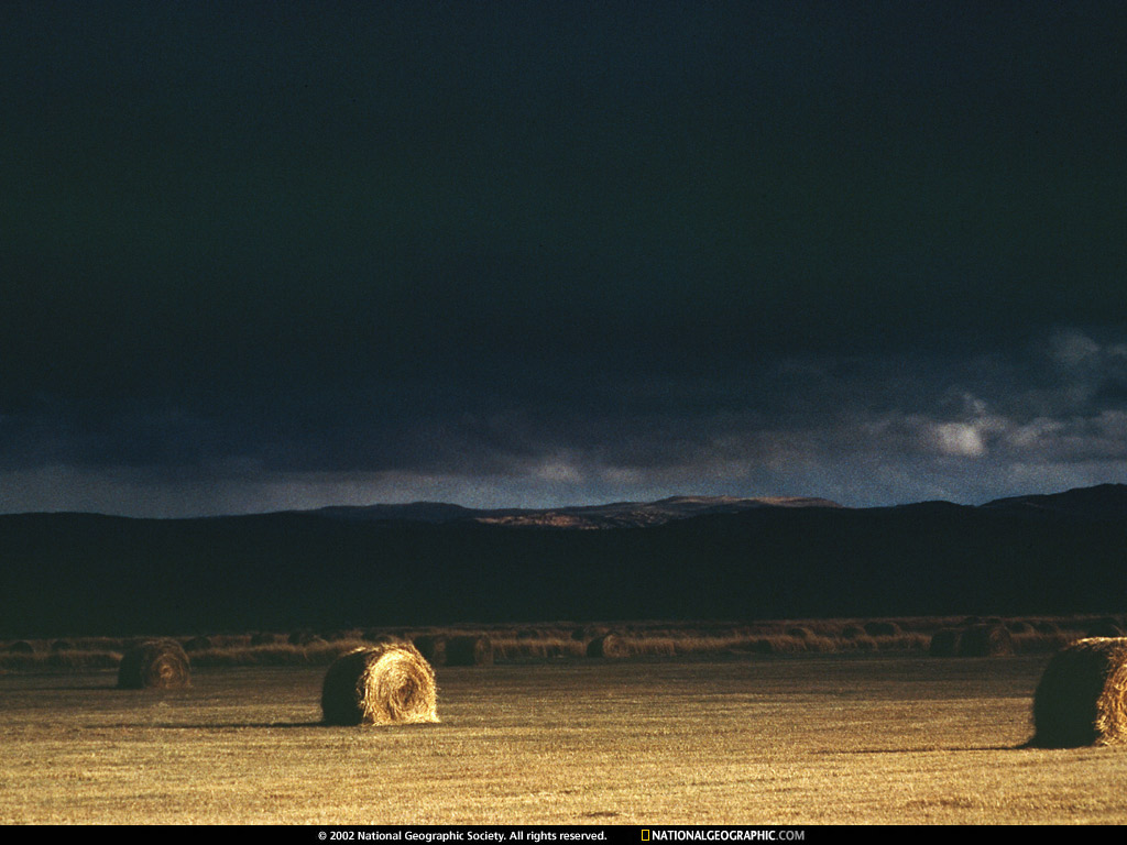 02-83.jpg