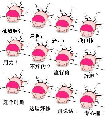 02C80A25.jpg