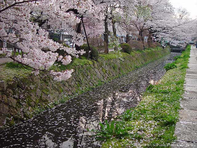 04.jpg