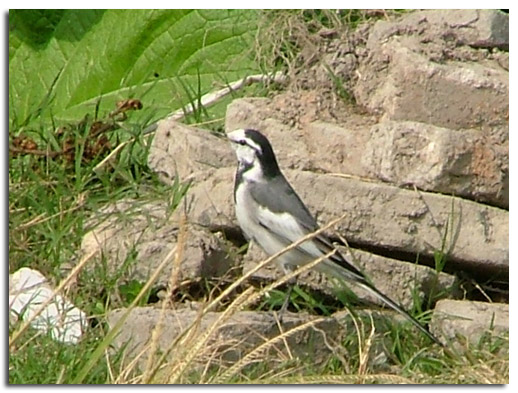 050426154725171.jpg