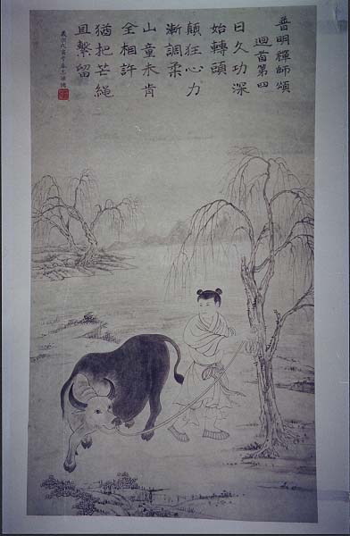 (4)得牛：喻雖得心牛，猶存煩惱習氣，恐再放心，遂加修練。