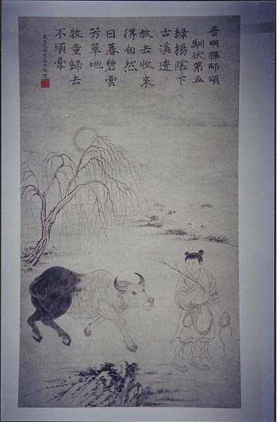 (5)牧牛：圖示持牛之鼻索而牧之，得純和之相。即示身不離修練之意，喻悟後之調心。