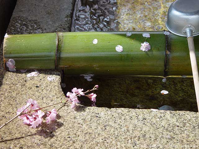 08.jpg