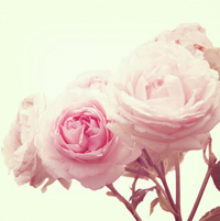 1-100G5224F6.jpg