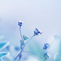 1-101121104H7.jpg