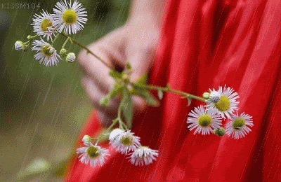 114.gif