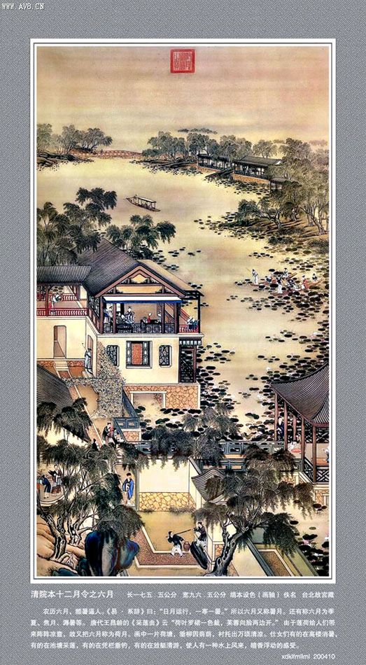 六月荷塘观芙蓉