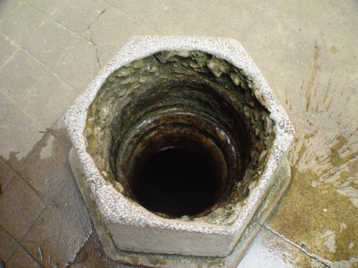 15.jpg