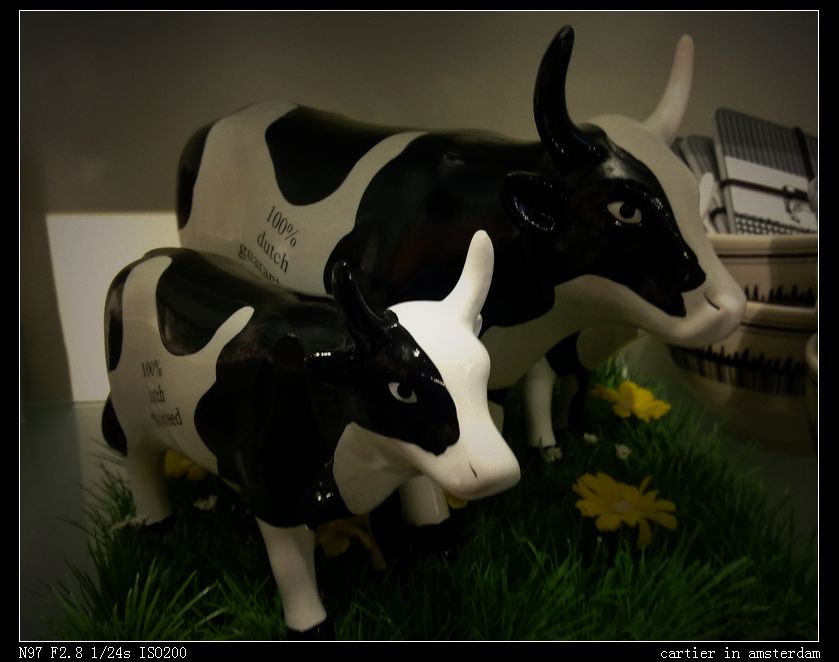 19022010531.jpg