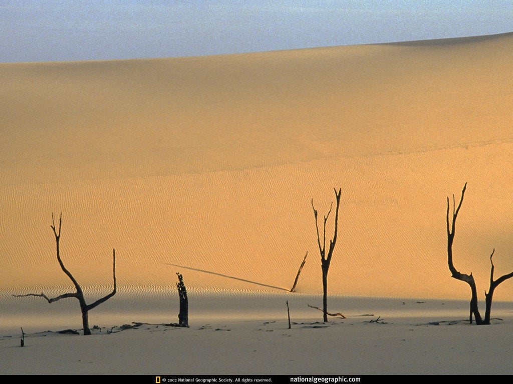 2-147.jpg