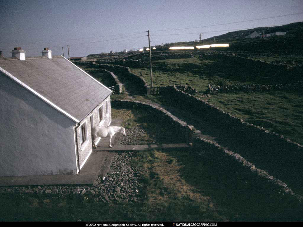 2-262.jpg