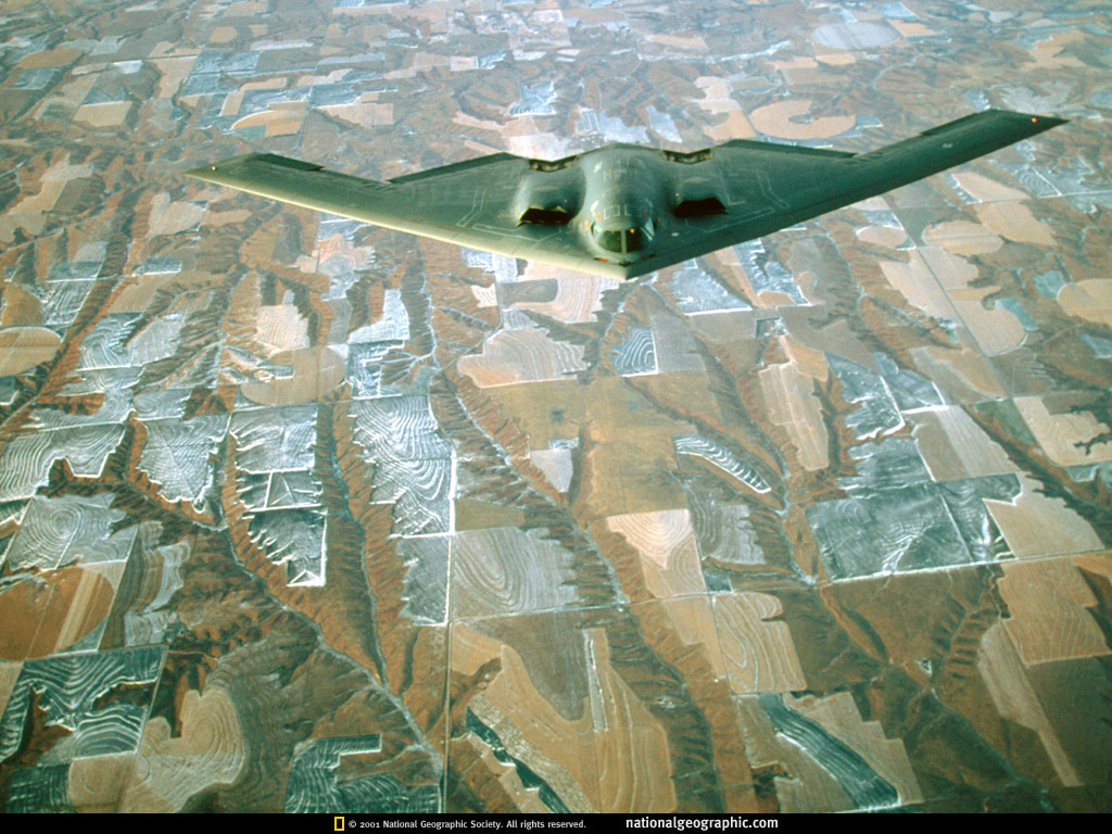2-439.jpg