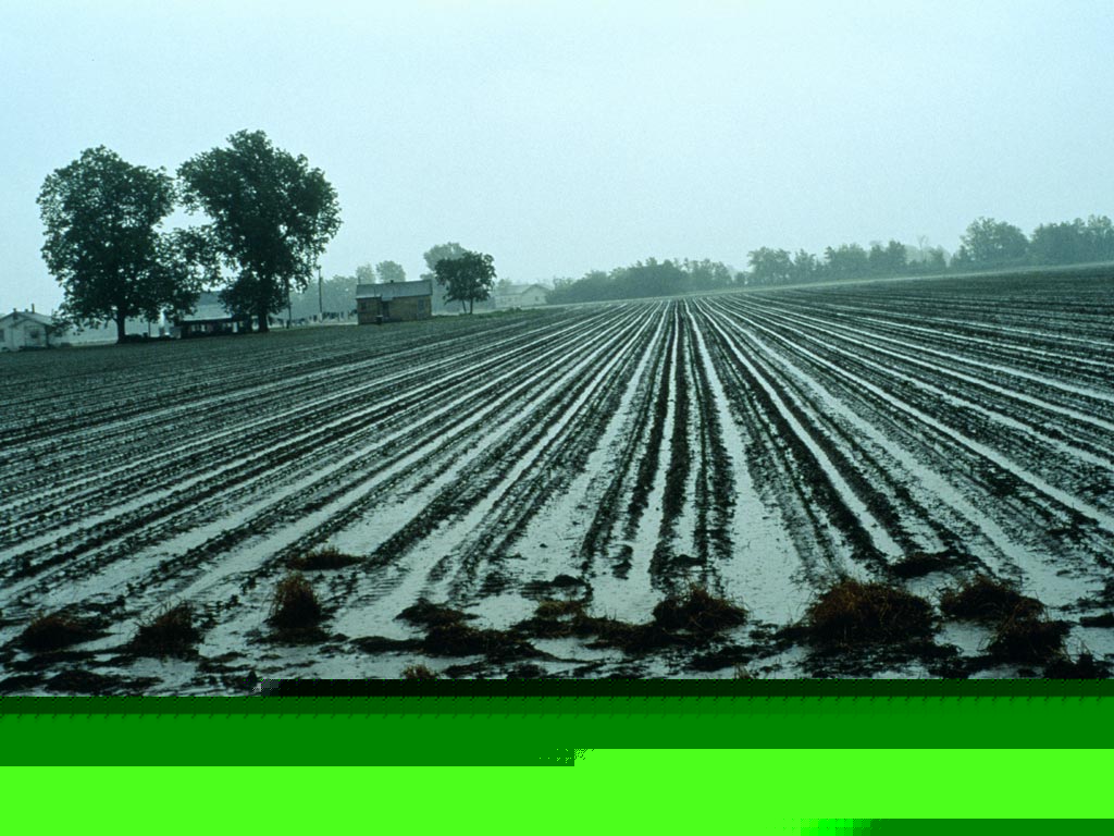 2-497.jpg
