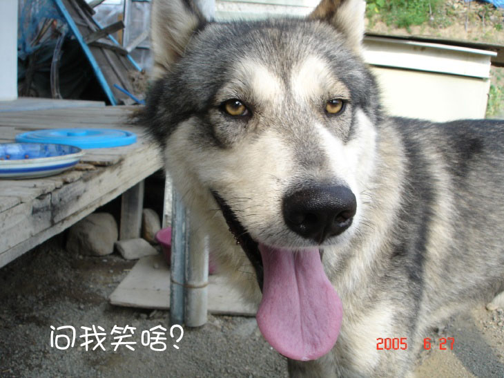 200775017510753.jpg