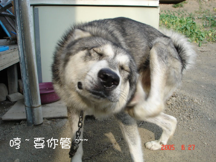 2007750181742979.jpg