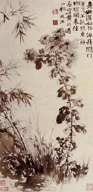 268.gif