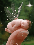 48342c3b.gif