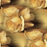 670404mhhtzc4tv4.gif