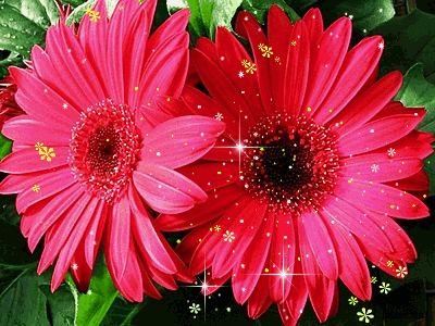 73b990339e08.gif