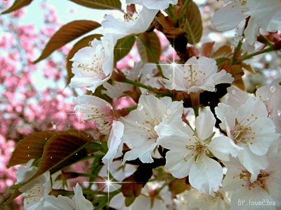 79b1e9712818.gif