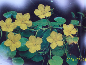 938-2005-3-25-8-00-23286.jpg