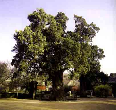 938-2005-3-25-8-00-23286.jpg