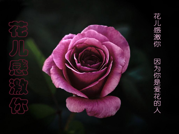 A4.jpg