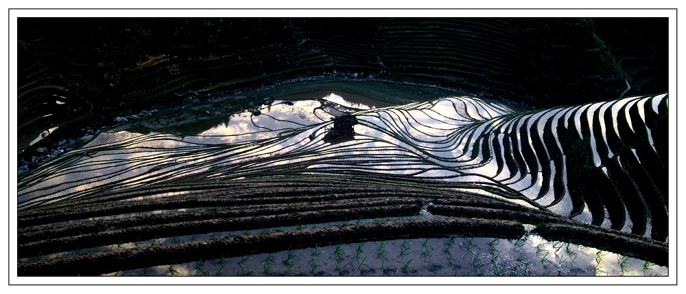 A6.jpg