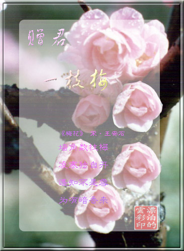 A6.jpg