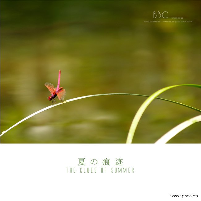A7.jpg