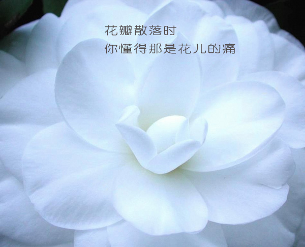 A7.jpg