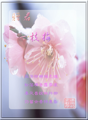 A8.jpg