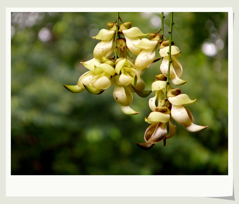 B5.jpg