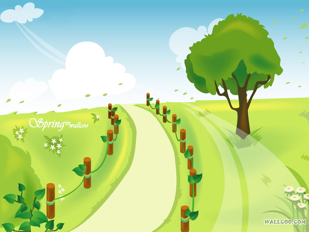 C11.jpg