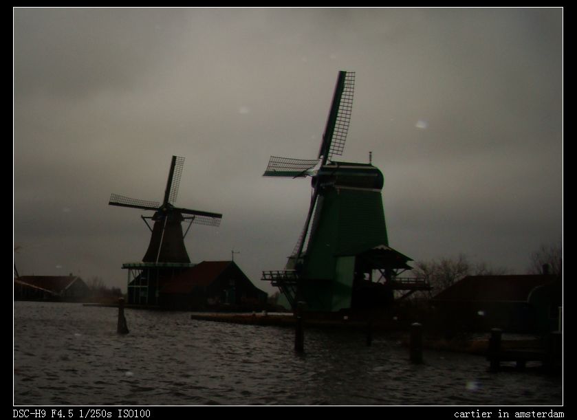 DSC02644.jpg