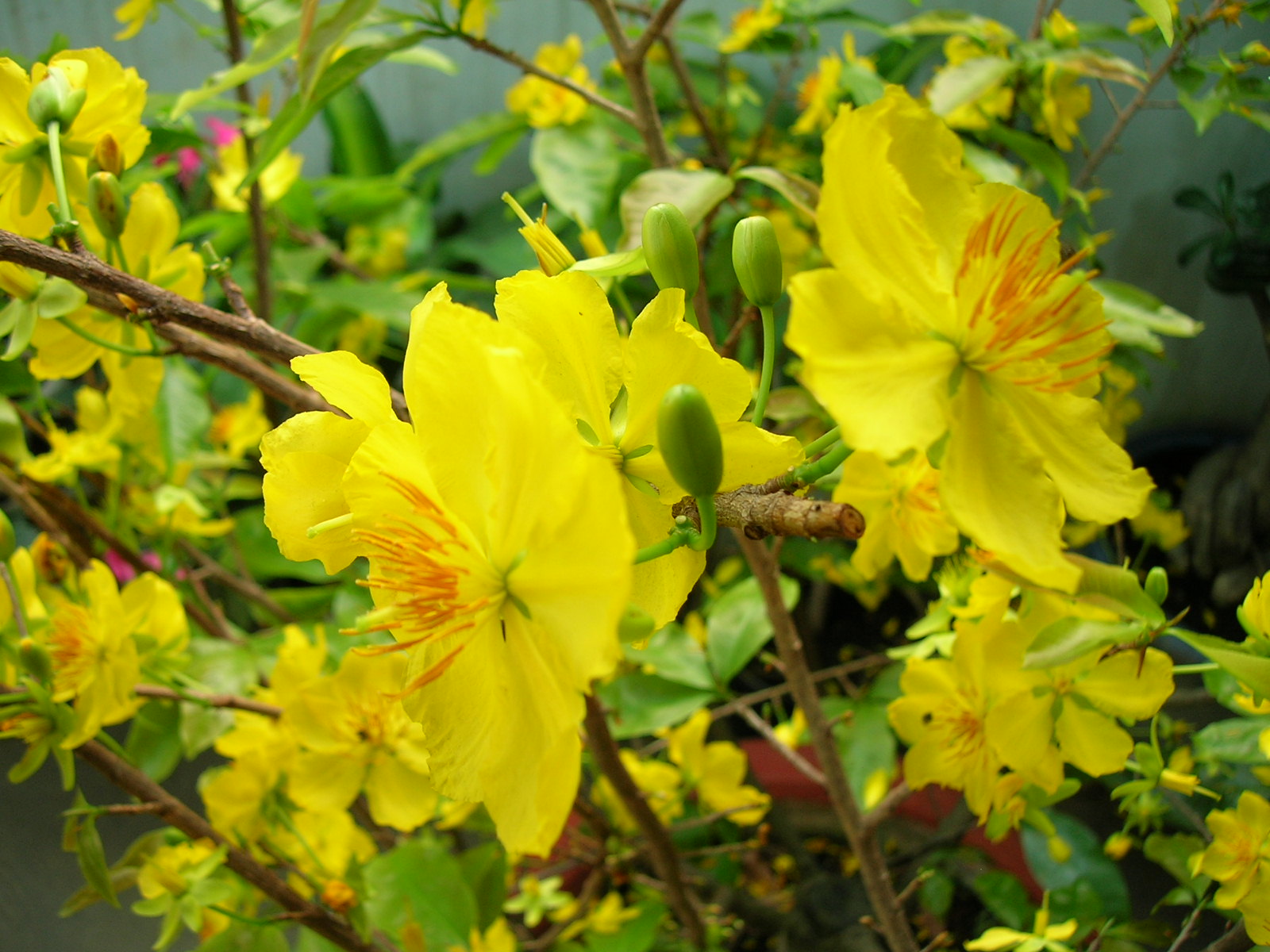 DSCN9896.JPG