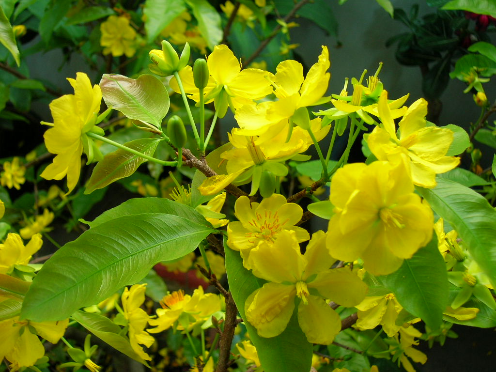 DSCN9905.JPG