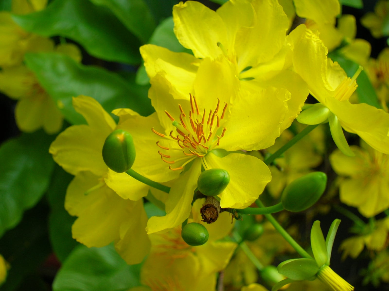 DSCN9924.JPG