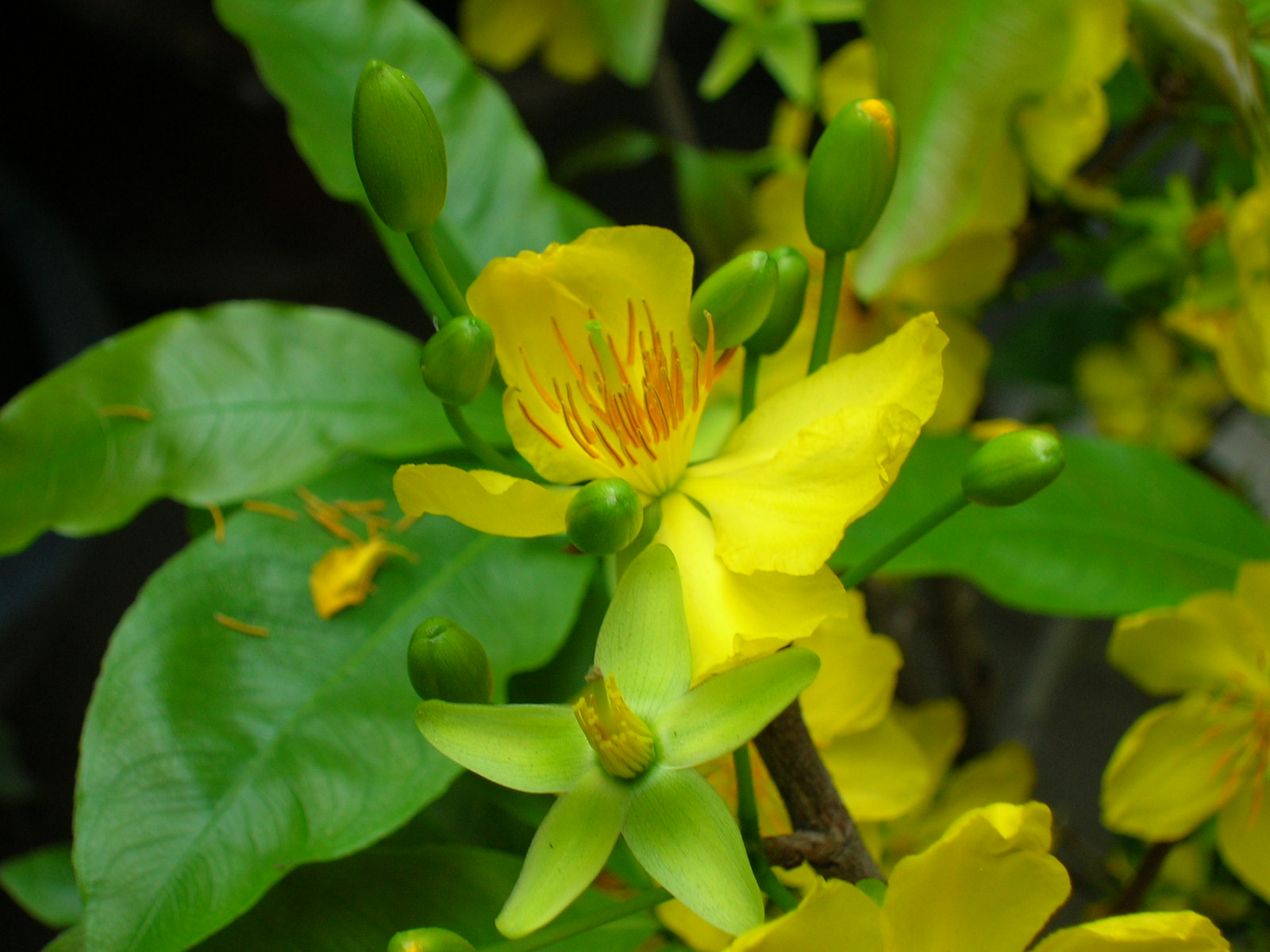 DSCN9927.JPG