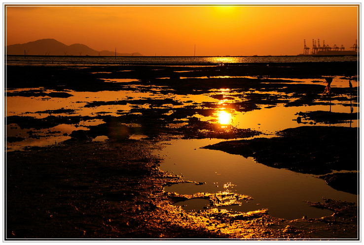 DSC_5415.jpg
