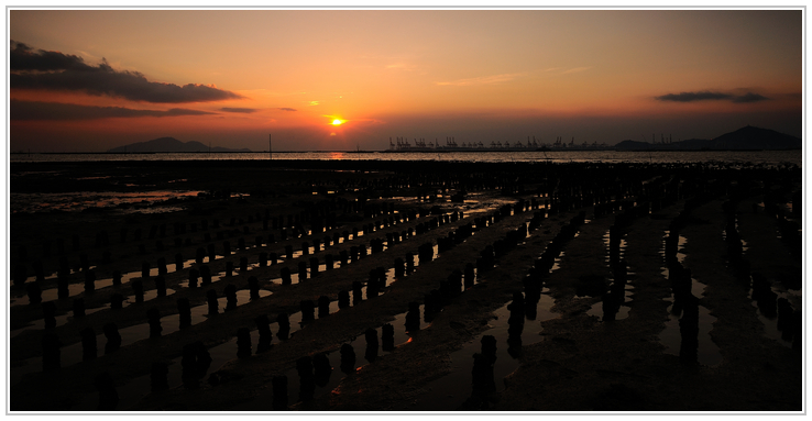 DSC_5430.jpg