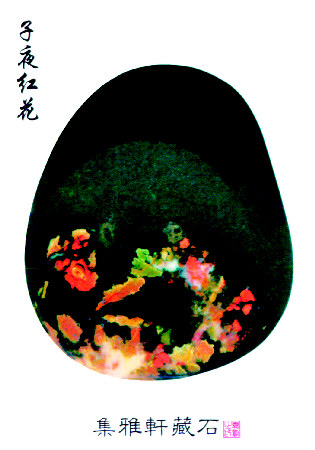 E25C00.jpg