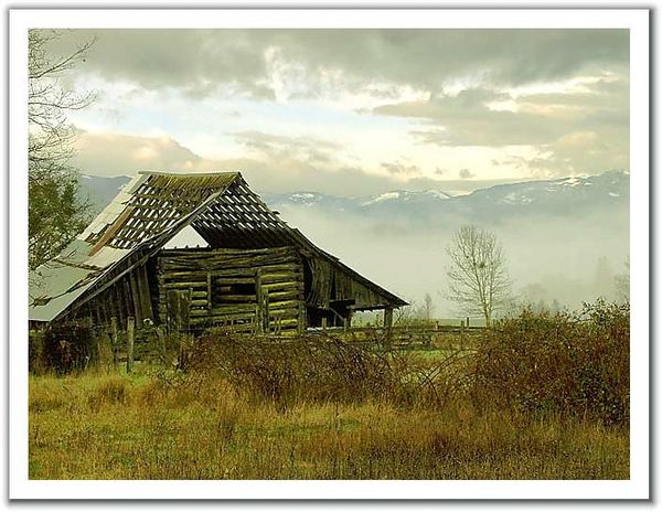 E7.jpg
