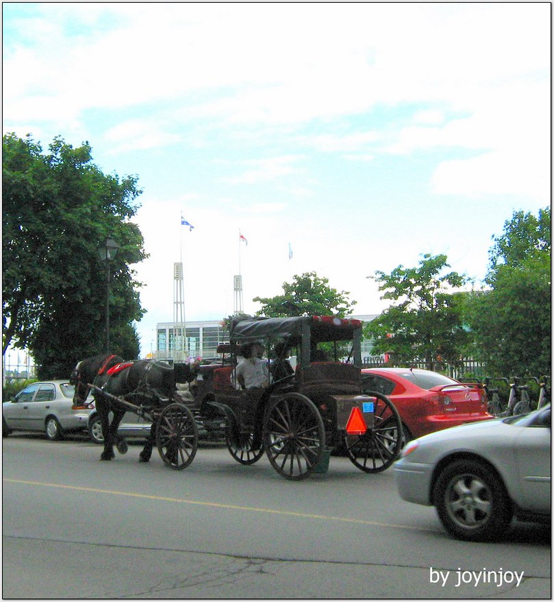 IMG_3493.JPG