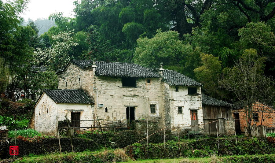 J6.jpg