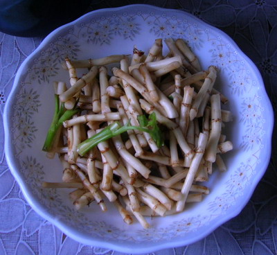 鱼腥草2.jpg